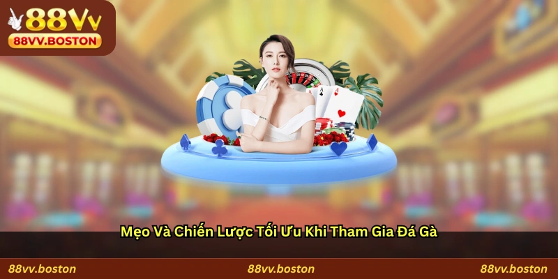 Mẹo và Chiến Lược Tối Ưu Khi Tham Gia Đá Gà